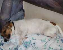 1267251_2061_profile