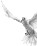 1267841_4251_profile