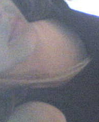 1026471_6741_profile