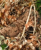 1260049_5184_profile