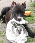 1272891_5751_profile