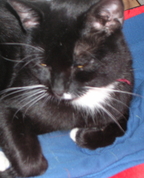 1027433_5985_profile