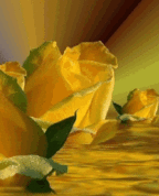 1208014_6596_profile