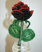 1280164_7450_profile