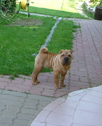 1294280_1413_profile