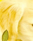 1295758_5987_profile