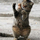 1029903_9933_mini