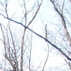 1002701_2699_tiny