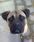 1020583_1031_profile