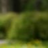 102939_66186_tiny