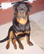 1318950_1807_profile