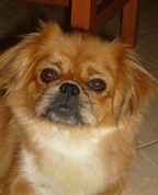 1310949_4816_profile