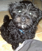 1302100_4422_profile