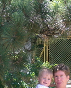 1332628_4730_profile