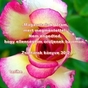 1333481_4948_card