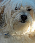 1336177_5441_profile