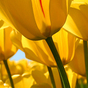 1336829_9504_card