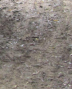 1338092_1859_profile