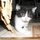 1033093_6358_mini