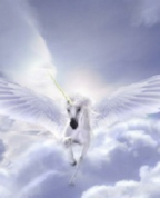 1330289_2797_profile