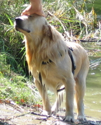 133040_86151_profile