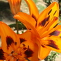 1330952_6642_card