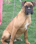 133967_93952_profile