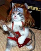 1347221_3988_profile