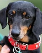 1349767_2829_profile