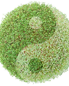 1305497_5511_profile