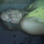 1362392_7495_mini