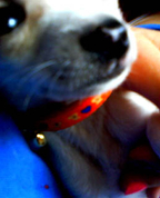 1363902_9102_profile