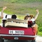 1365372_8640_card