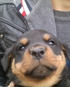 1367239_5986_profile