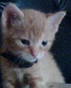 1036394_3251_profile