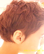 1360215_7116_profile