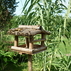1037606_9956_tiny