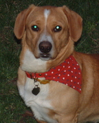 1383955_8308_profile