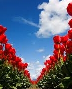 1384802_8839_profile