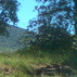 1385647_5321_tiny