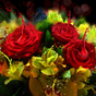 1391257_8720_card