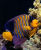 1392755_6974_profile