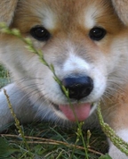 1397488_7768_profile