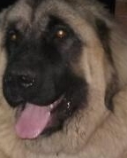 1399010_7450_profile