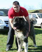 1399321_4071_profile