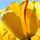 1412499_7220_mini