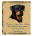 1041693_4535_tiny