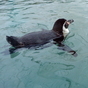 1401610_5741_card