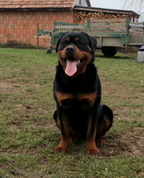 1433667_1500_profile