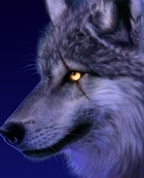 1435960_7732_profile